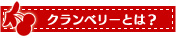 Nx[Ƃ́H